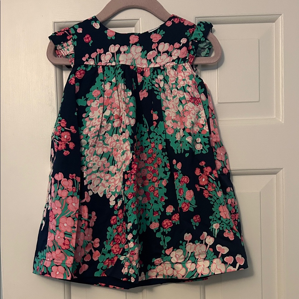 Carter's Floral Dress - Pink and Green on Navy